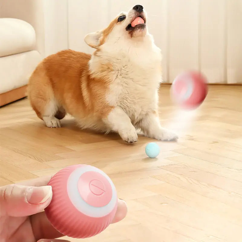 Smart Puppy Cat Ball Toys