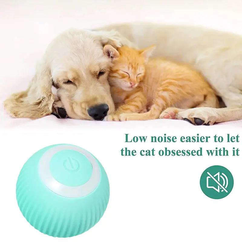 Smart Puppy Cat Ball Toys