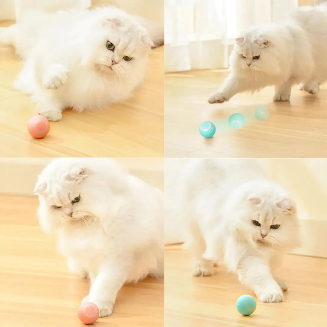 Automatic Rolling Cat Ball