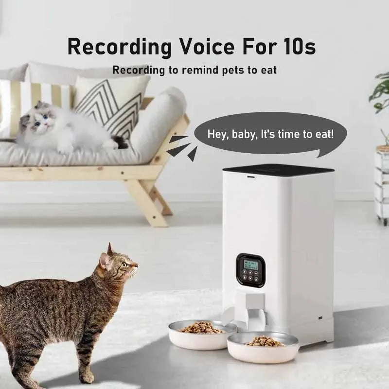 Smart Automatic Feeder Pet Cat Feeders 6L Double Auto Cat Food Dispenser Large Capacity Timed Cat Feeder for Cats Dog Dry Food