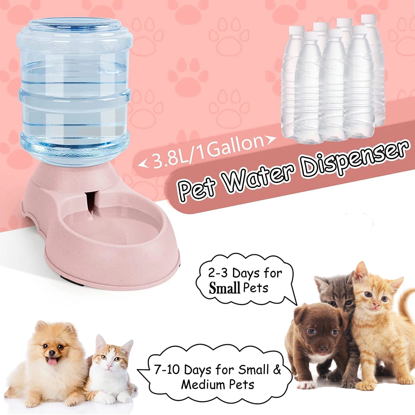 Large Capacity Pet Feeder & Water Dispenser