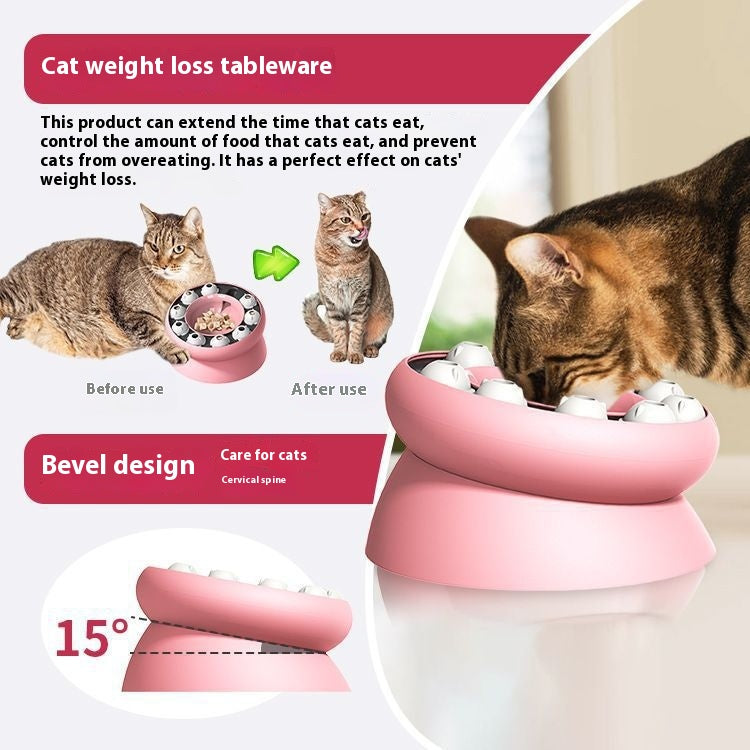 Amazon Rotating Food Leakage Feeding Cat Bowl Puzzle Cat Toy